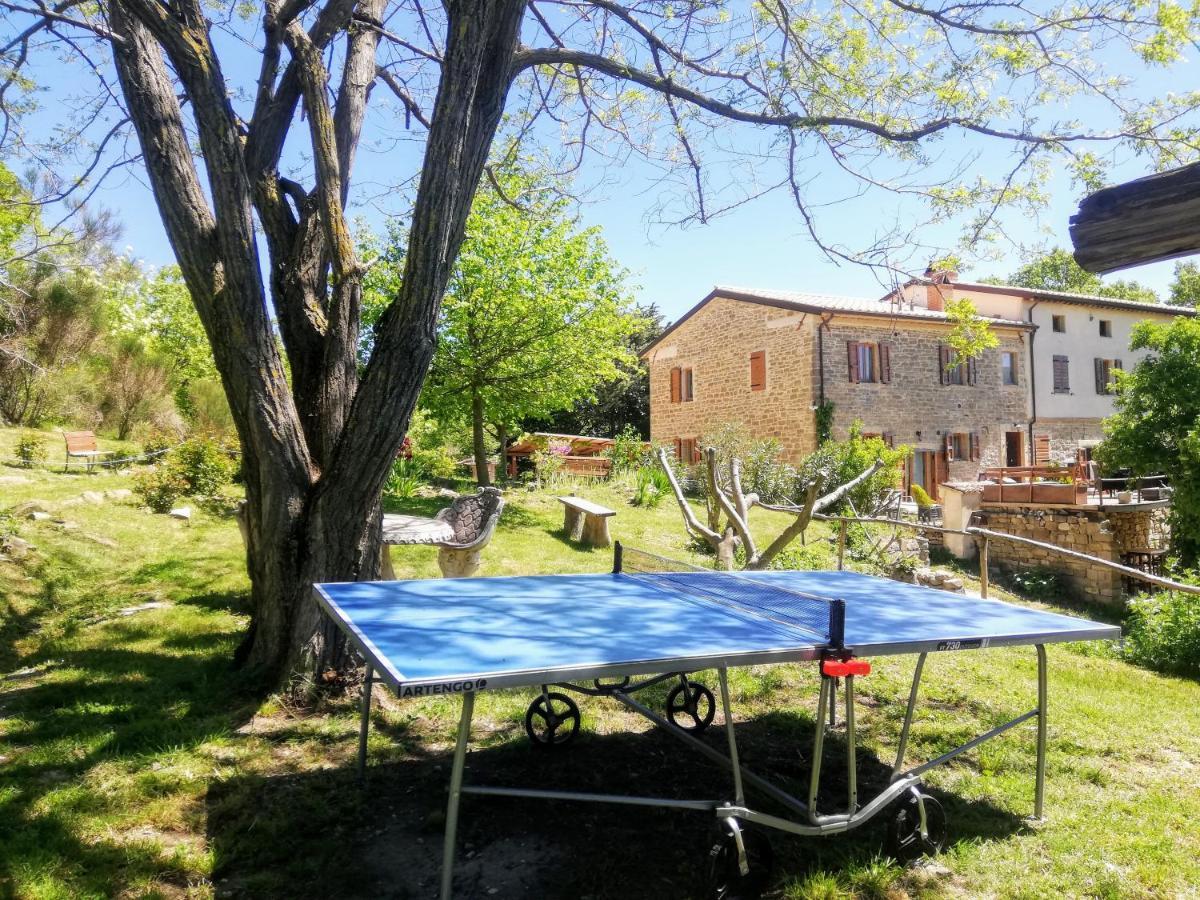 Le Ginestre Apartments 阿西西 外观 照片