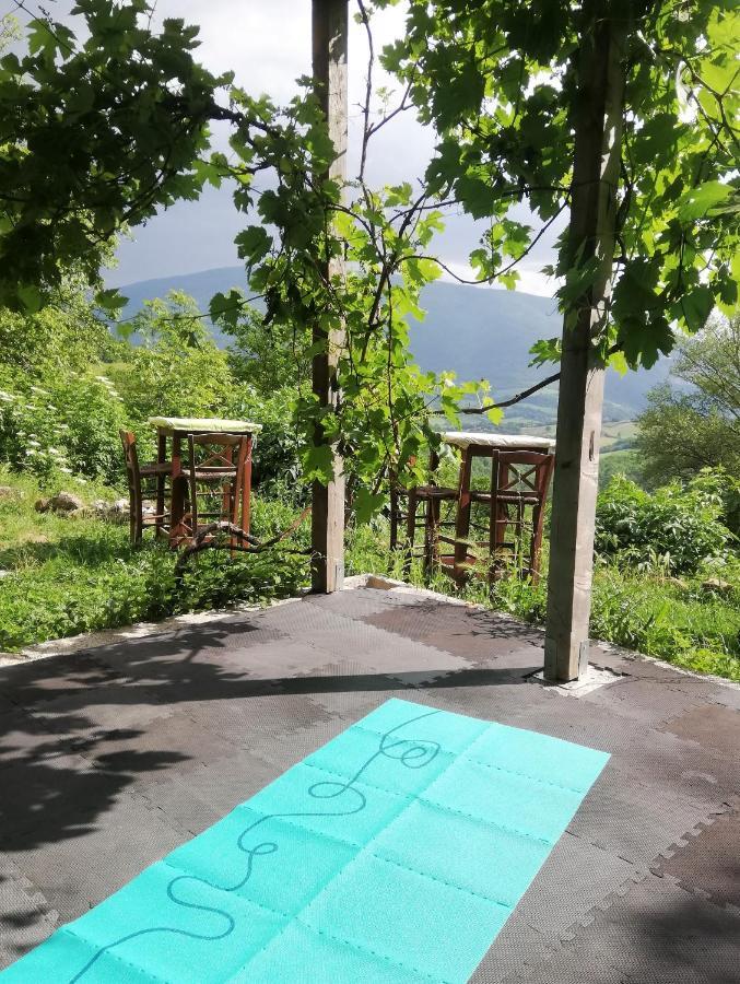 Le Ginestre Apartments 阿西西 外观 照片