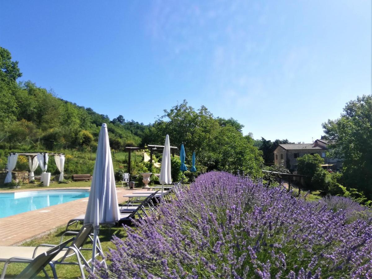 Le Ginestre Apartments 阿西西 外观 照片